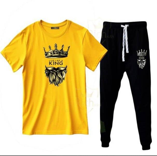 Mens tracksuit and Dry fit  T-shirts trousers 11