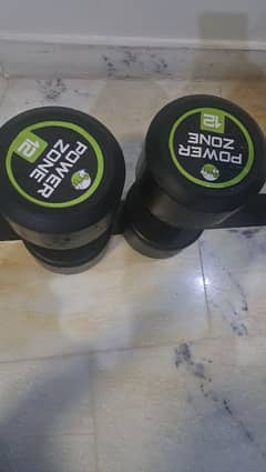 12 kg dumbbells set 0