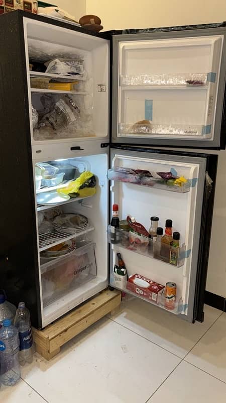 Glass Double Door Fridge 2