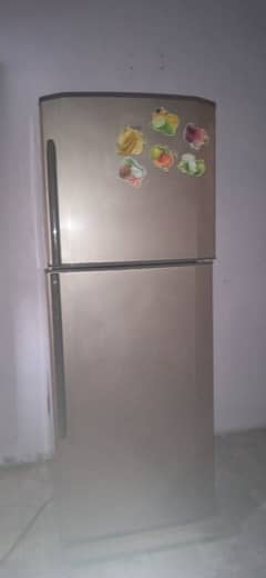 frige