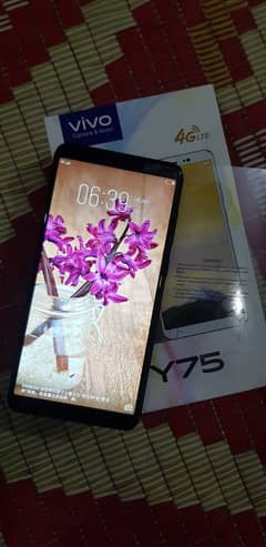 Vivo 6 128 All Complete Box