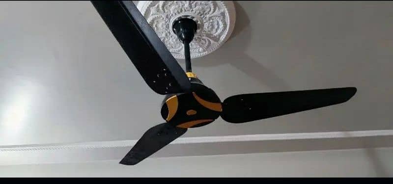 Fancy Ceiling Fans 1