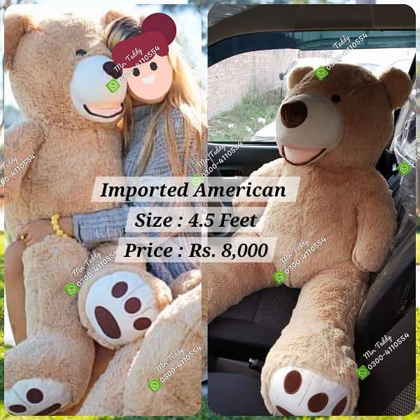 premium imported teddy bear 3