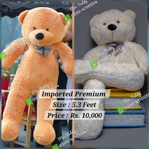 premium imported teddy bear 4