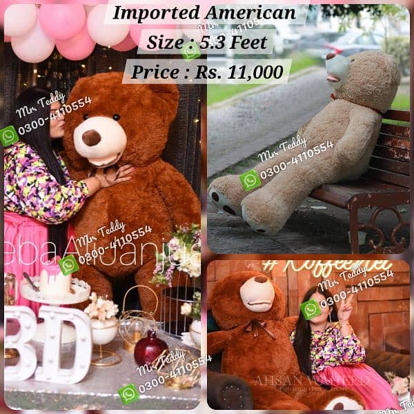 premium imported teddy bear 5