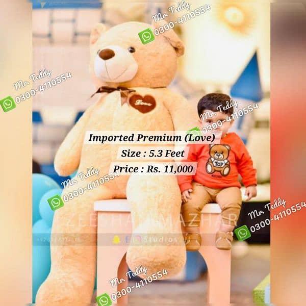 premium imported teddy bear 6