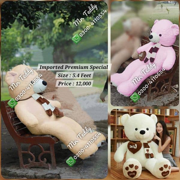 premium imported teddy bear 7