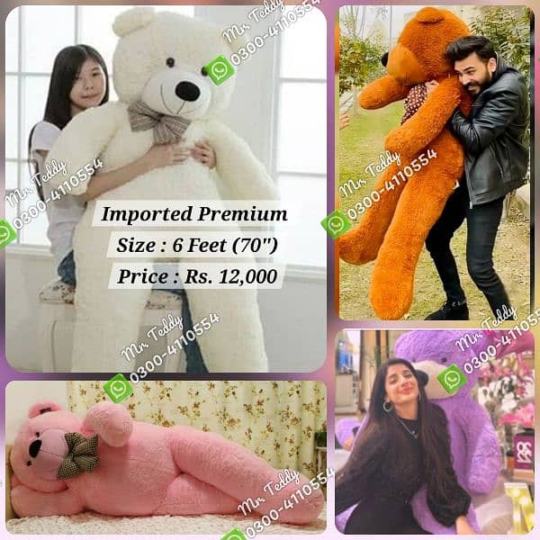 premium imported teddy bear 8