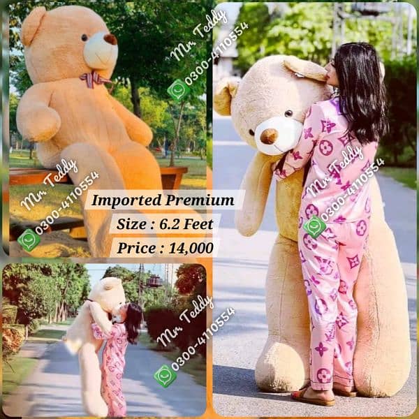 premium imported teddy bear 9