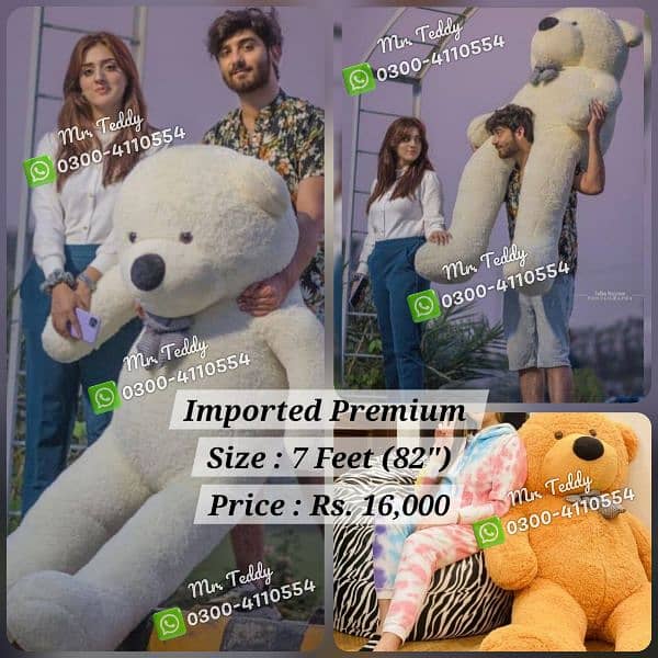 premium imported teddy bear 11