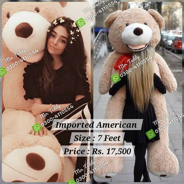 premium imported teddy bear 12