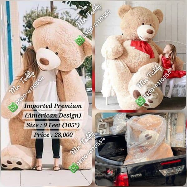 premium imported teddy bear 13