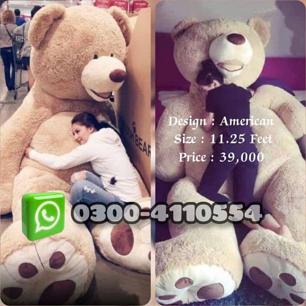 premium imported teddy bear 14