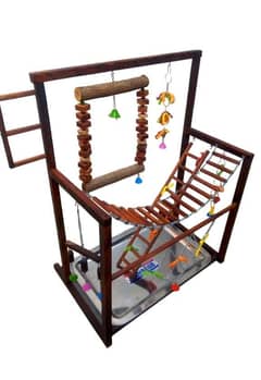 Parrot Toys and Play Stands