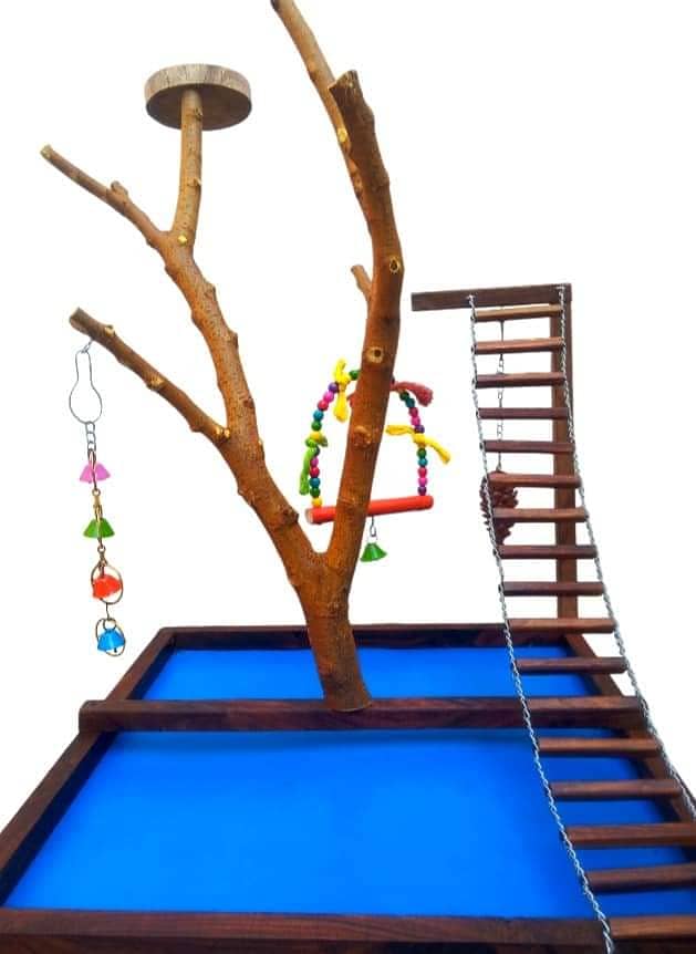 Parrot Toys and Play Stands 1