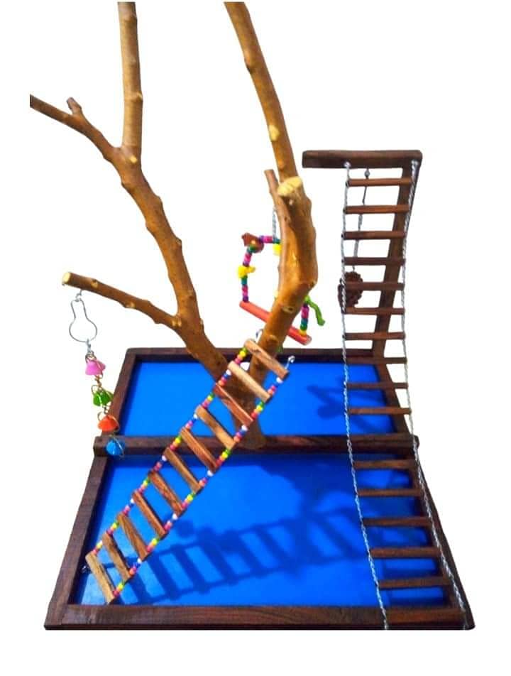 Parrot Toys and Play Stands 2