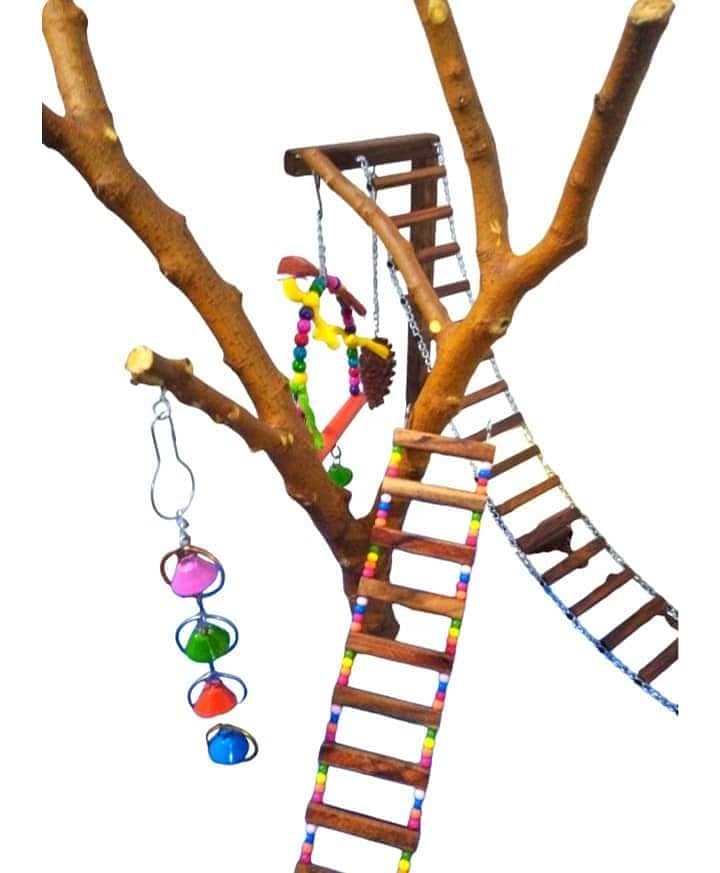 Parrot Toys and Play Stands 3