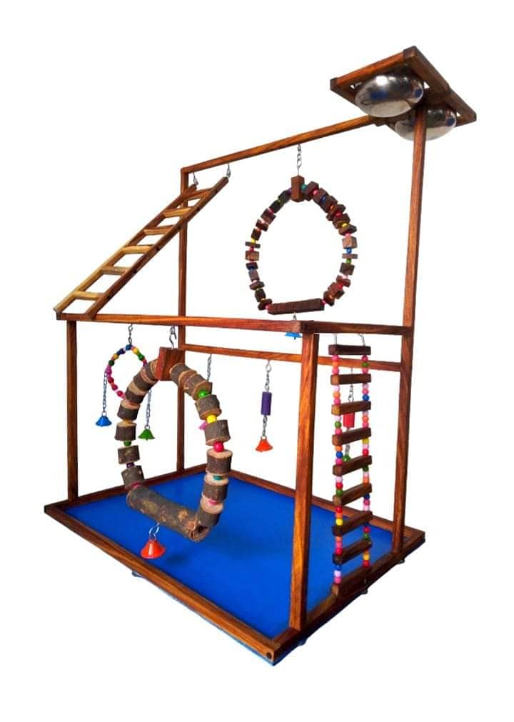 Parrot Toys and Play Stands 13