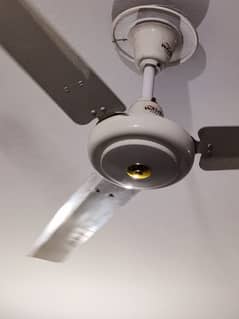 5 wahid ceiling fans ( celling fans )