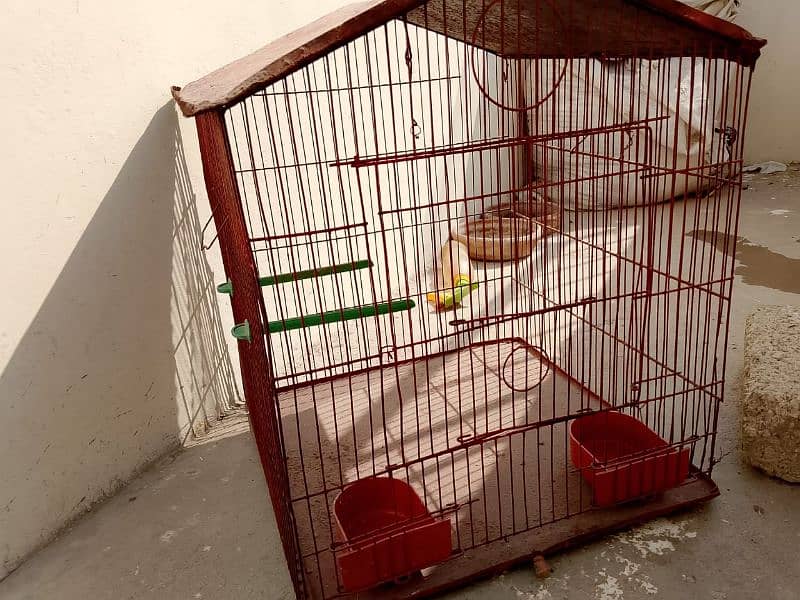 sale cages only call this number 03705779789 no messages urgent sale 1