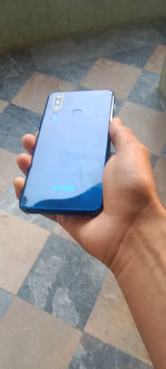 Vivo