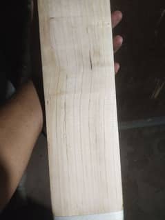 Hard ball plan bat 0