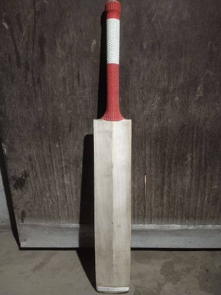 Hard ball plan bat 3