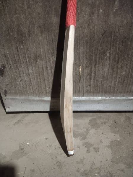 Hard ball plan bat 4