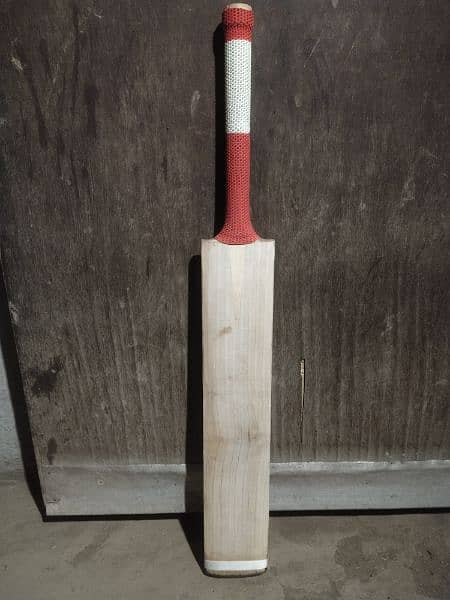 Hard ball plan bat 5