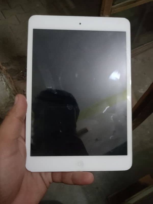 ipad mini 1 0