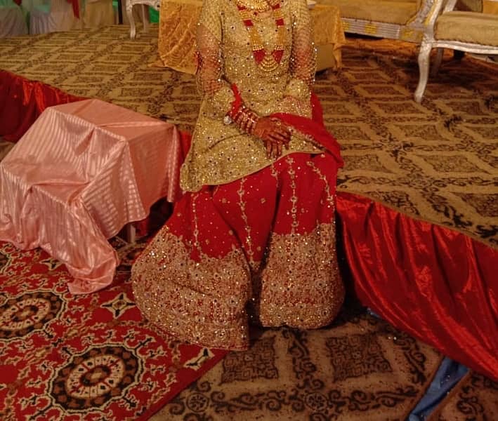 Bridal lehnga 0