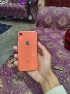 iPhone XR