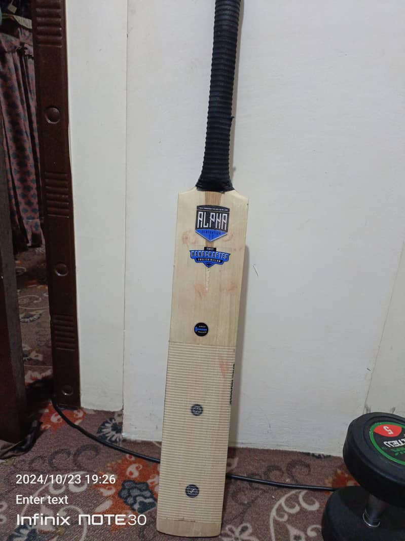 Cricket kit 2