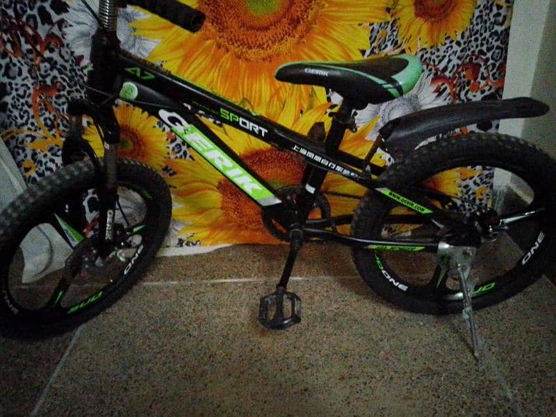 cycle for sale 0