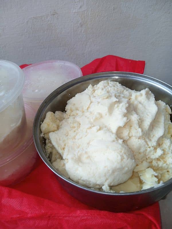 Butter Available for sale 2