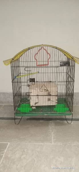 bird cage 1