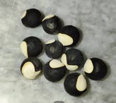 Ballon Vine Seeds