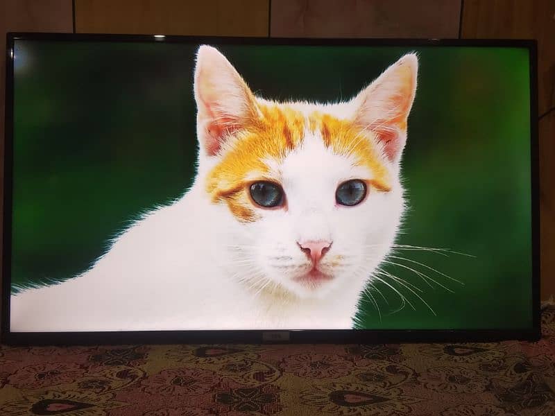 TCL ANDROID 40" LED FOR SALE IN VERY GOOD PRICE 7