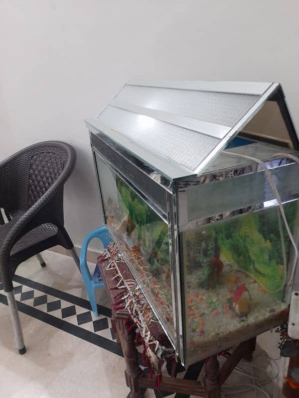 aquarium for sale 1