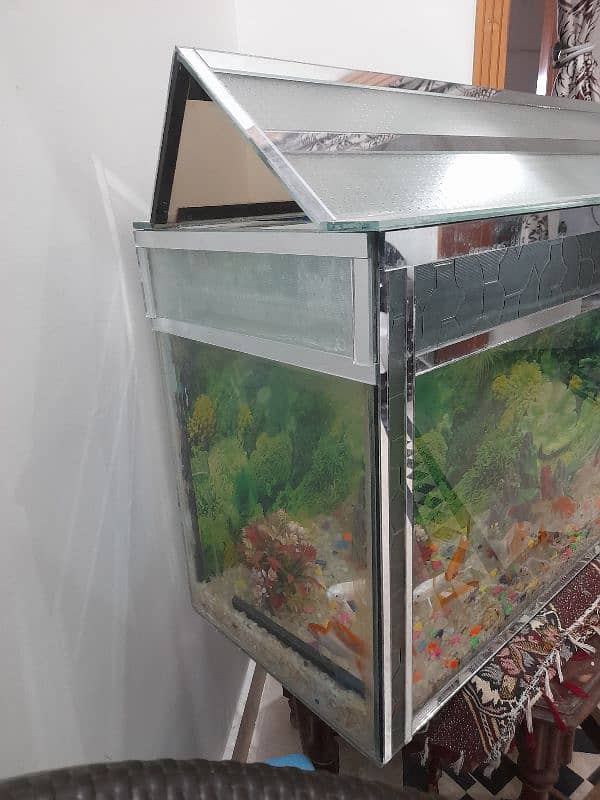 aquarium for sale 3