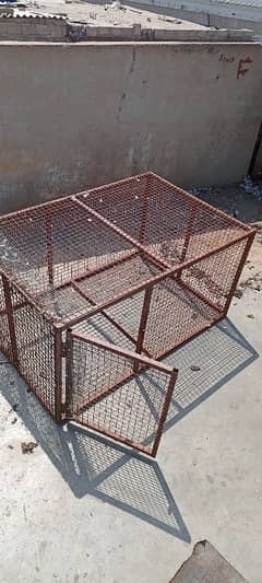 Morgeyo ka cage lohay ka hai 0