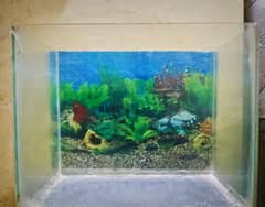 Aquarium for sale