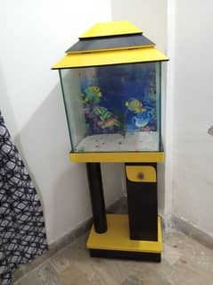 fish aquarium 0