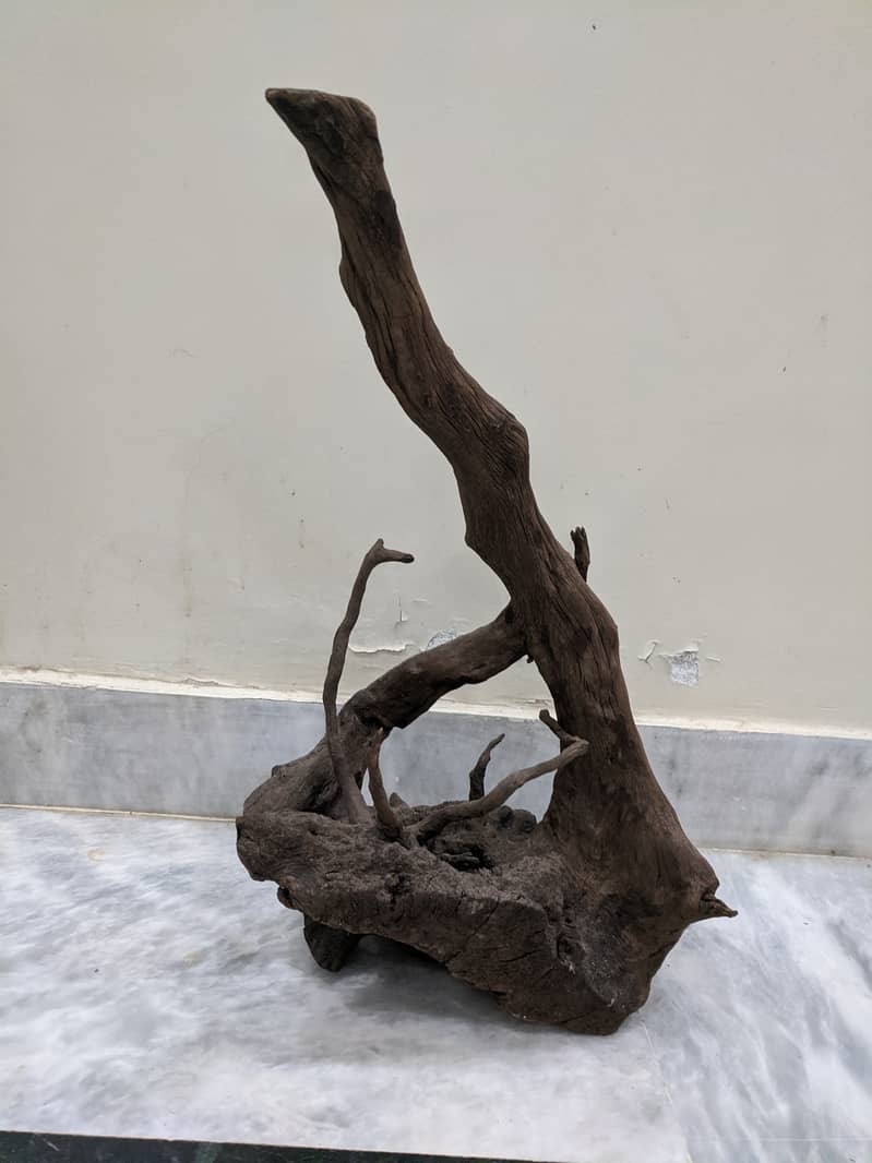 Malaysian Driftwood Available 8