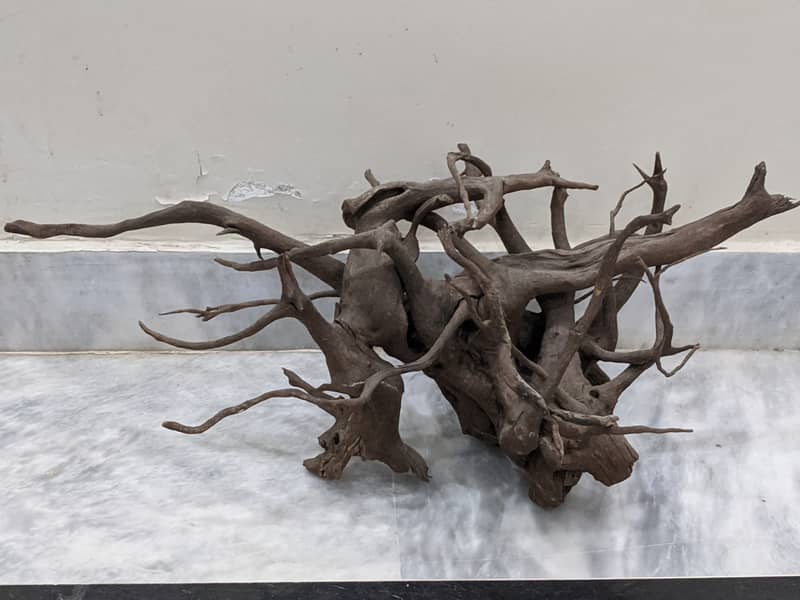 Malaysian Driftwood Available 9