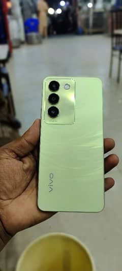 Vivo