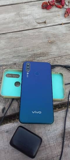 vivo