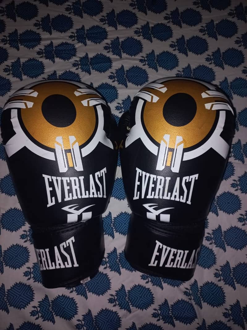 2 Boxing Gloves (everlast and venum) 0