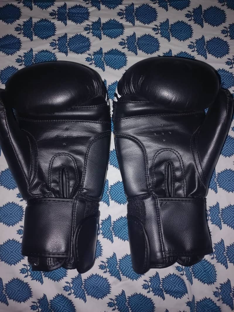 2 Boxing Gloves (everlast and venum) 1