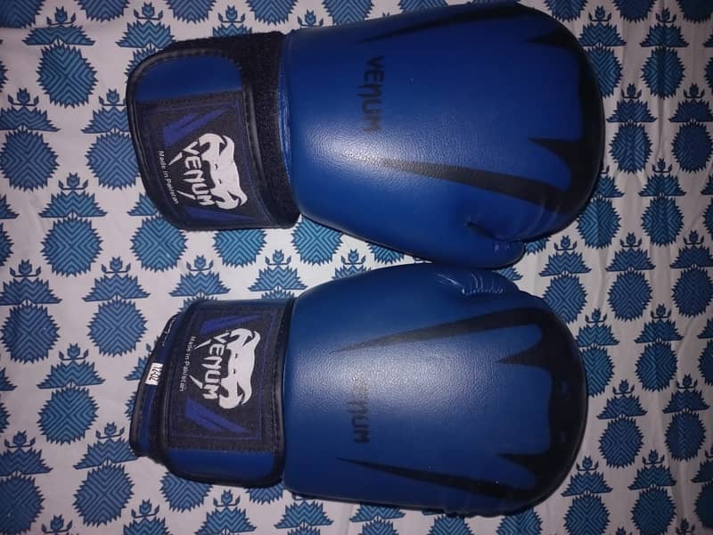 2 Boxing Gloves (everlast and venum) 3